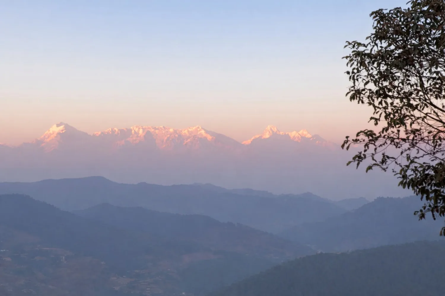Himalayan snow peaks at sunrise seen from Haus of Shizu in Kasar Devi, Almora